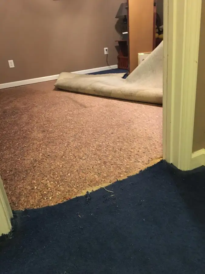 Carpet pad removal revealing water damage during Water Mitigation Services in Venice