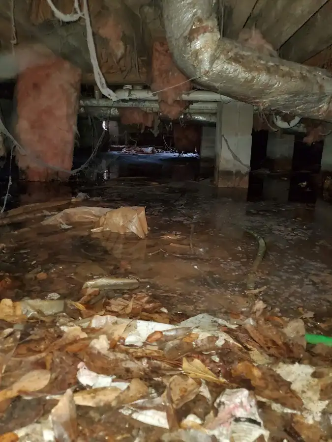 Crawl space flood assessment for Leak Detection & Repair in Venice